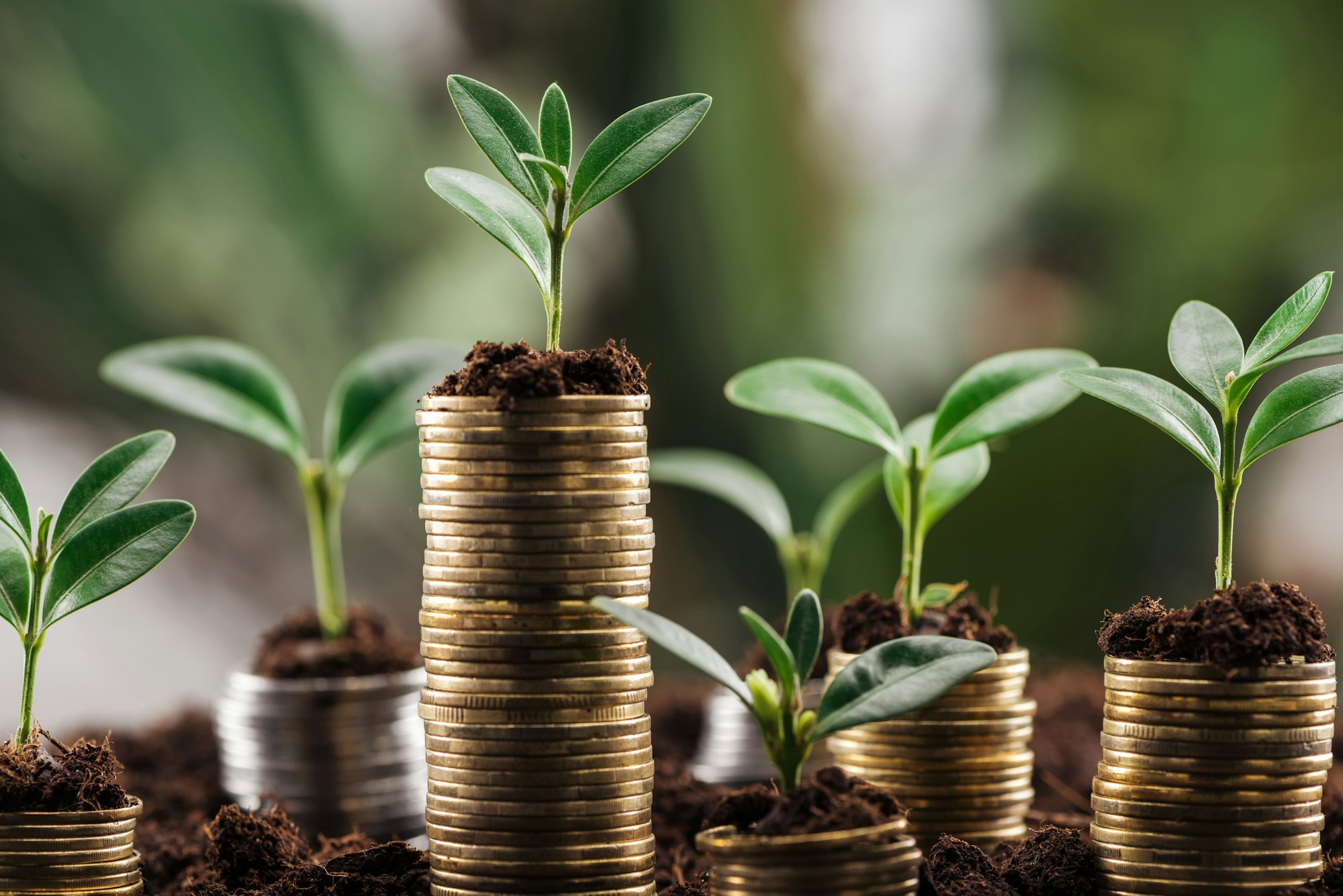 coins with soil and green leaves, financial growth concept